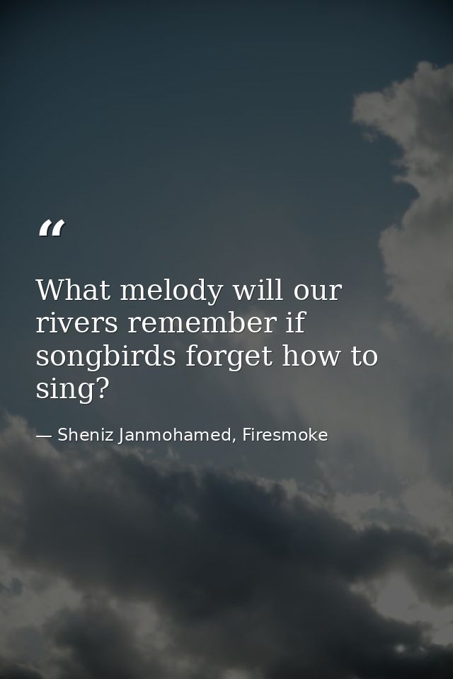 What melody will our rivers remember if songbirds forget how to sing? — Sheniz Janmohamed, Firesmoke