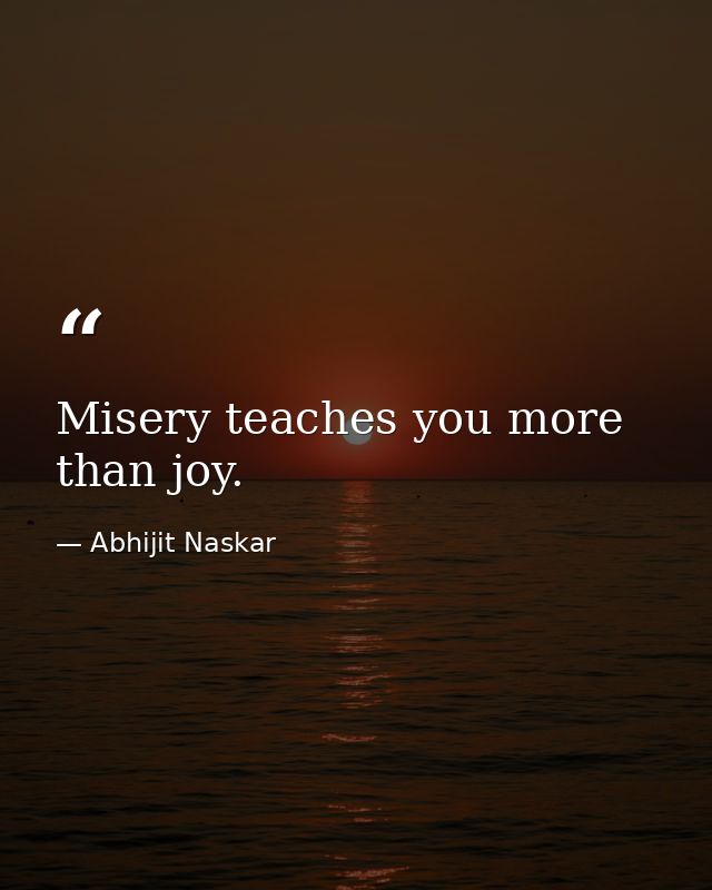Misery teaches you more than joy. — Abhijit Naskar