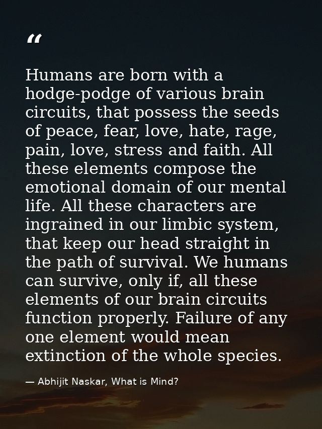 Humans are born with a hodge-podge of various brain circuits, that possess the seeds of peace, fear, love, hate, rage, p — Abhijit Naskar, What is Mind?