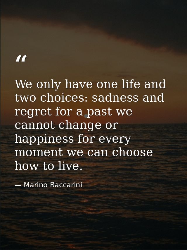 We only have one life and two choices: sadness and regret for a past we cannot change or happiness for every moment we c — Marino Baccarini