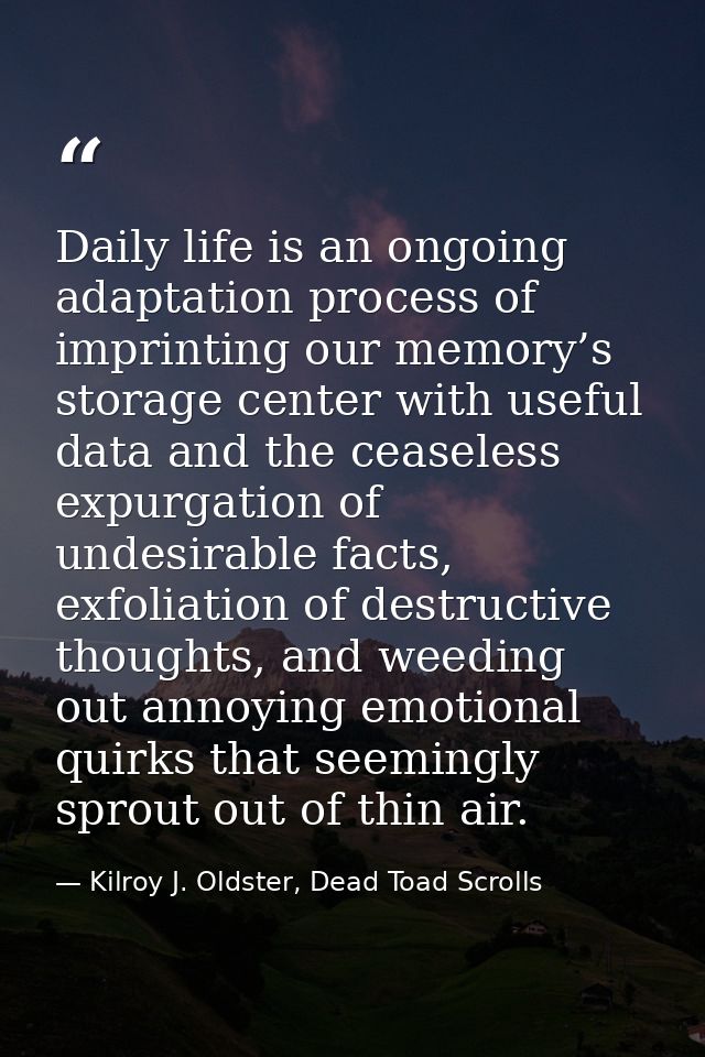 Daily life is an ongoing adaptation process of imprinting our memory’s storage center with useful data and the ceaseless — Kilroy J. Oldster, Dead Toad Scrolls