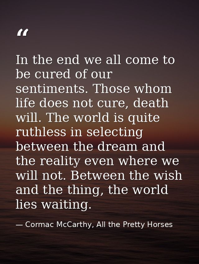 In the end we all come to be cured of our sentiments. Those whom life does not cure, death will. The world is quite ruth — Cormac McCarthy, All the Pretty Horses