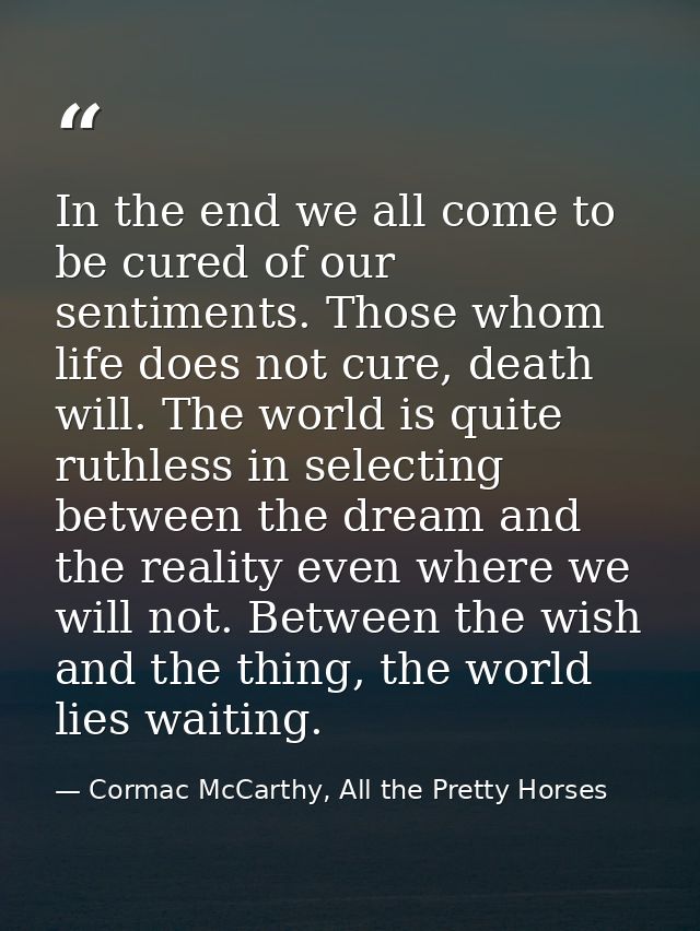 In the end we all come to be cured of our sentiments. Those whom life does not cure, death will. The world is quite ruth — Cormac McCarthy, All the Pretty Horses