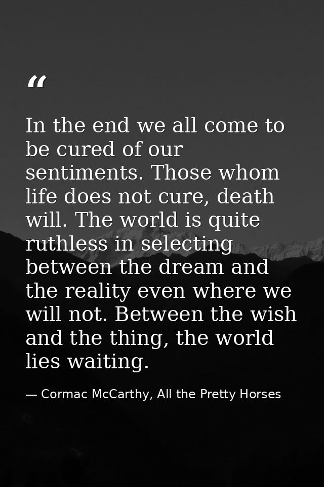 In the end we all come to be cured of our sentiments. Those whom life does not cure, death will. The world is quite ruth — Cormac McCarthy, All the Pretty Horses