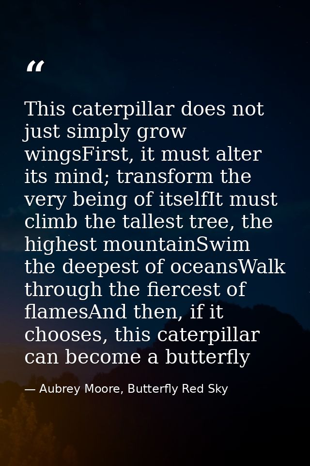 This caterpillar does not just simply grow wingsFirst, it must alter its mind; transform the very being of itselfIt must — Aubrey Moore, Butterfly Red Sky