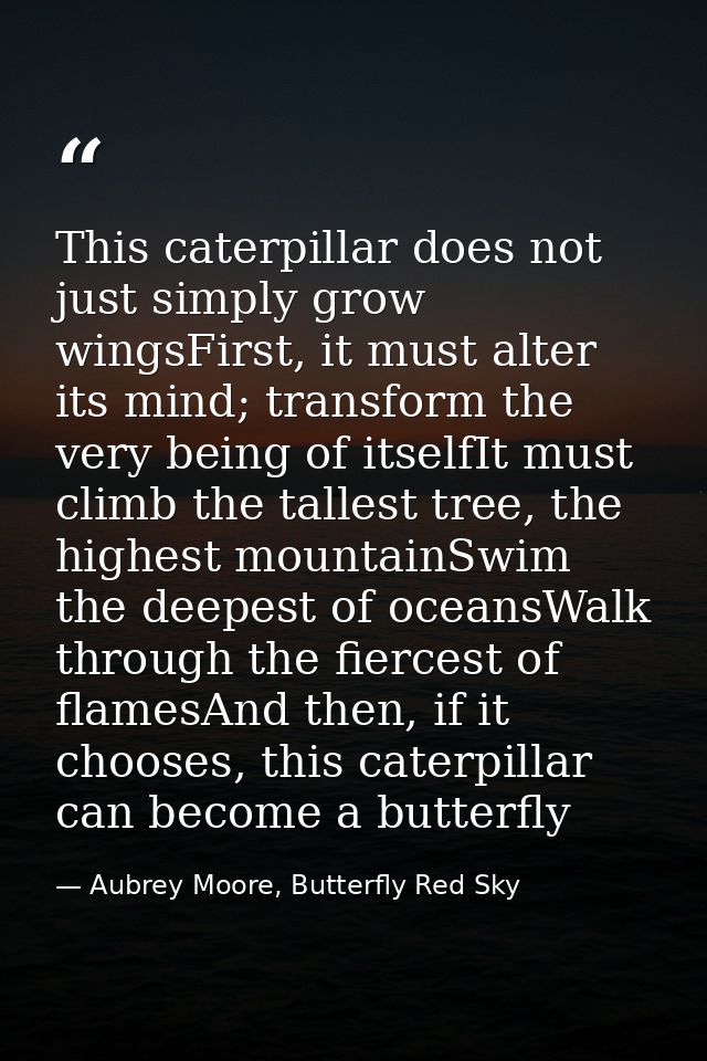 This caterpillar does not just simply grow wingsFirst, it must alter its mind; transform the very being of itselfIt must — Aubrey Moore, Butterfly Red Sky