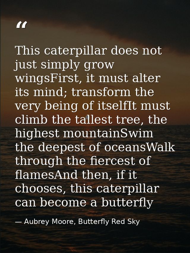This caterpillar does not just simply grow wingsFirst, it must alter its mind; transform the very being of itselfIt must — Aubrey Moore, Butterfly Red Sky