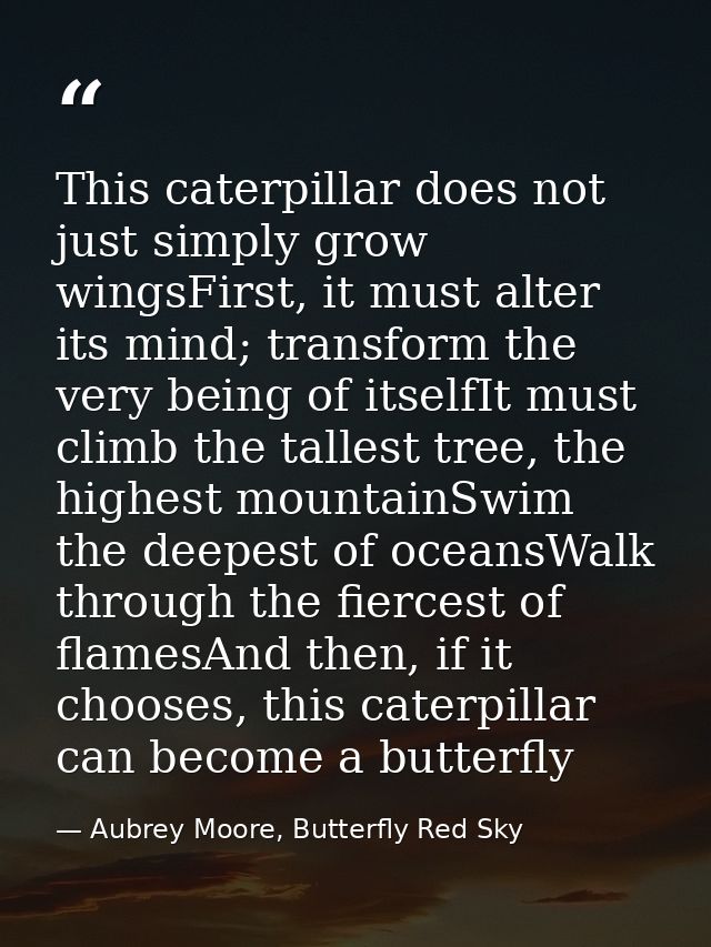 This caterpillar does not just simply grow wingsFirst, it must alter its mind; transform the very being of itselfIt must — Aubrey Moore, Butterfly Red Sky
