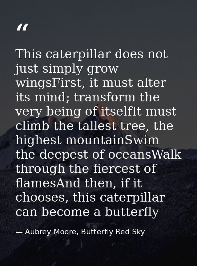 This caterpillar does not just simply grow wingsFirst, it must alter its mind; transform the very being of itselfIt must — Aubrey Moore, Butterfly Red Sky