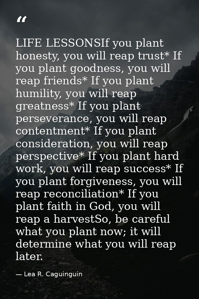 LIFE LESSONSIf you plant honesty, you will reap trust* If you plant goodness, you will reap friends* If you plant humili — Lea R. Caguinguin