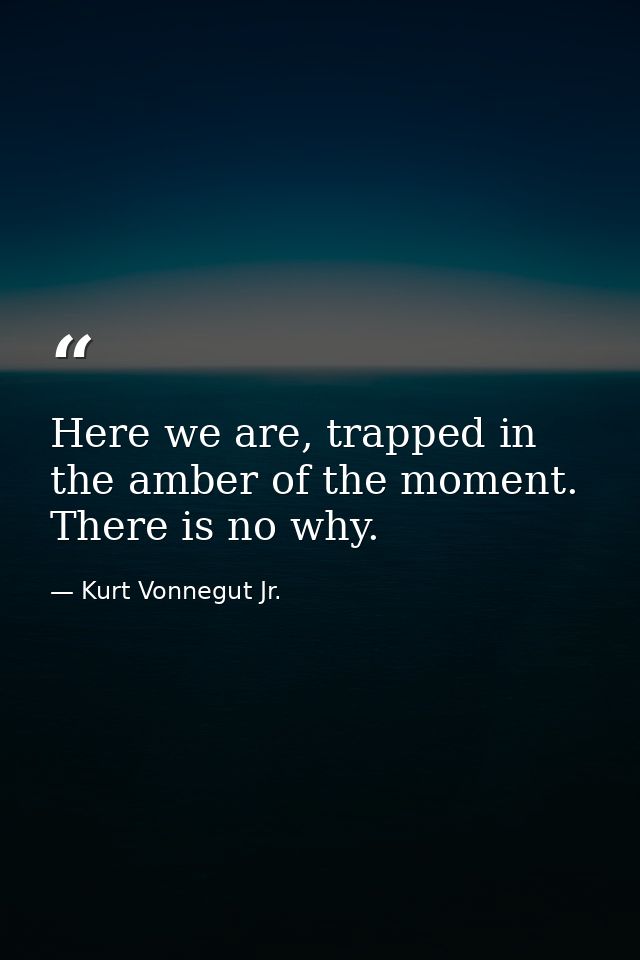 Here we are, trapped in the amber of the moment. There is no why. — Kurt Vonnegut Jr.