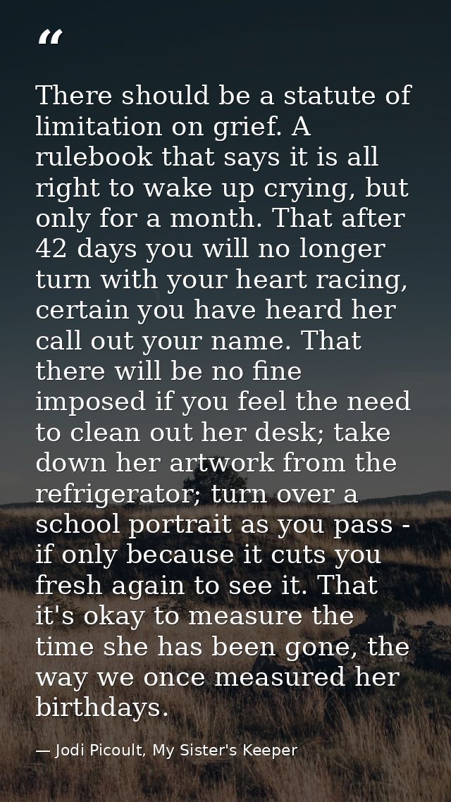 There should be a statute of limitation on grief. A rulebook that says it is all right to wake up crying, but only for a — Jodi Picoult, My Sister's Keeper