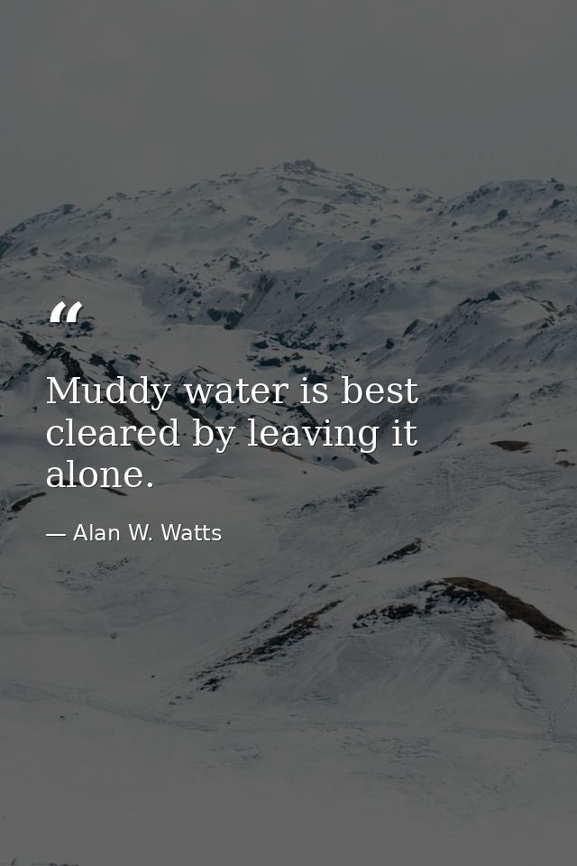 Muddy water is best cleared by leaving it alone. — Alan W. Watts