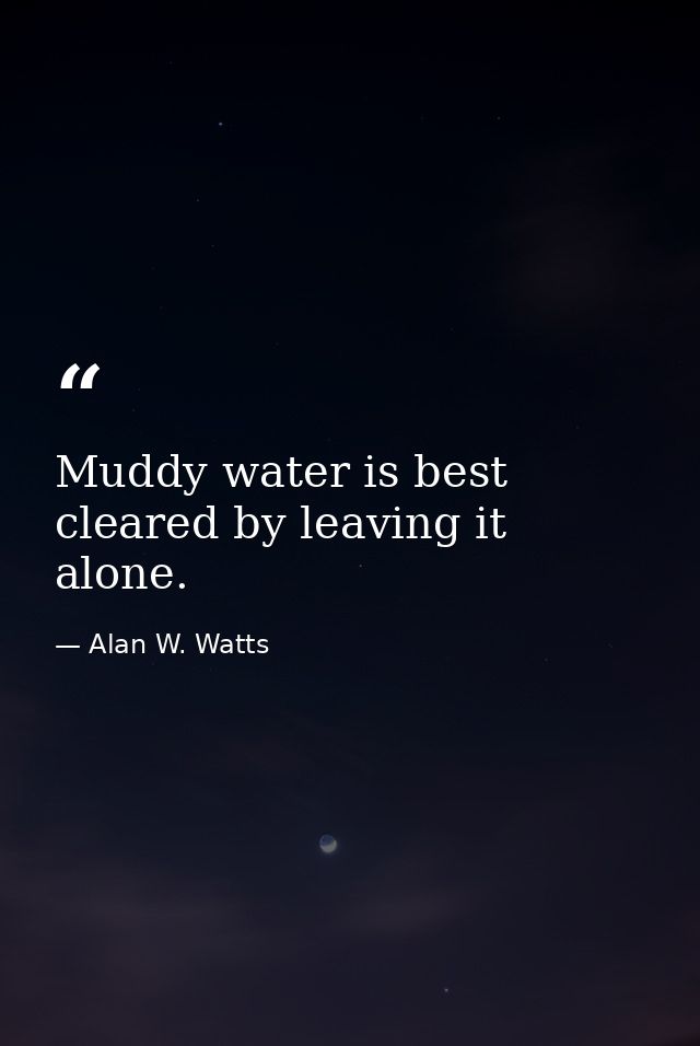 Muddy water is best cleared by leaving it alone. — Alan W. Watts