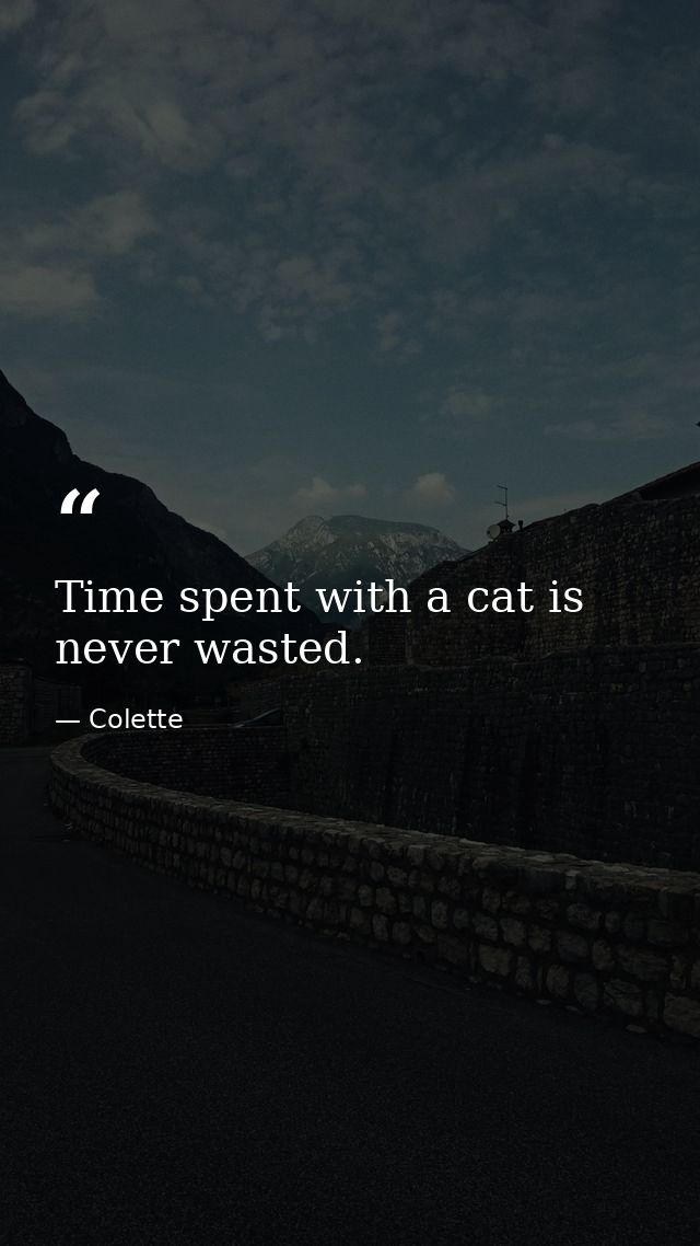 Time spent with a cat is never wasted. — Colette