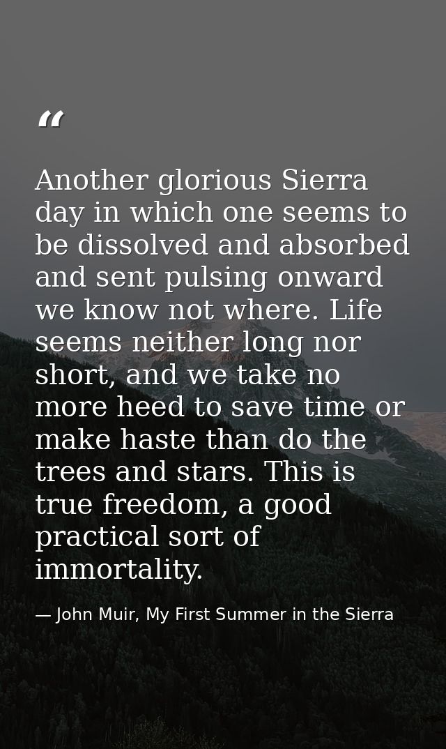 Another glorious Sierra day in which one seems to be dissolved and absorbed and sent pulsing onward we know not where. L — John Muir, My First Summer in the Sierra