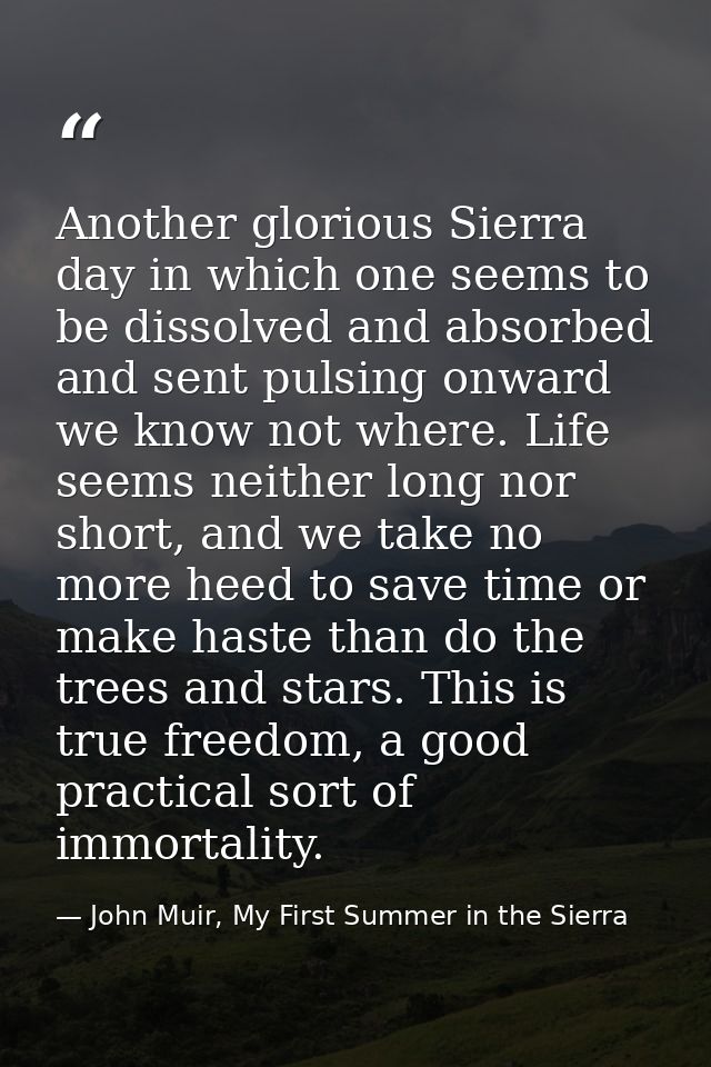 Another glorious Sierra day in which one seems to be dissolved and absorbed and sent pulsing onward we know not where. L — John Muir, My First Summer in the Sierra