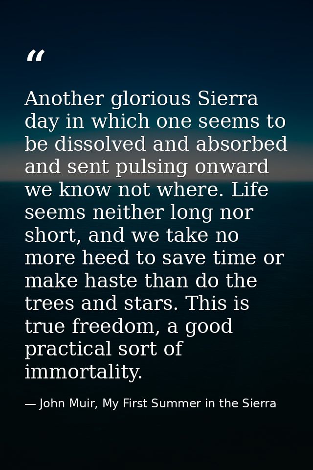 Another glorious Sierra day in which one seems to be dissolved and absorbed and sent pulsing onward we know not where. L — John Muir, My First Summer in the Sierra