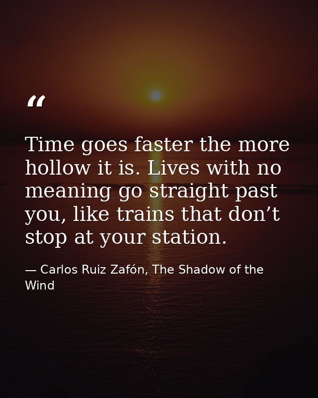Time goes faster the more hollow it is. Lives with no meaning go straight past you, like trains that don’t stop at your  — Carlos Ruiz Zafón, The Shadow of the Wind