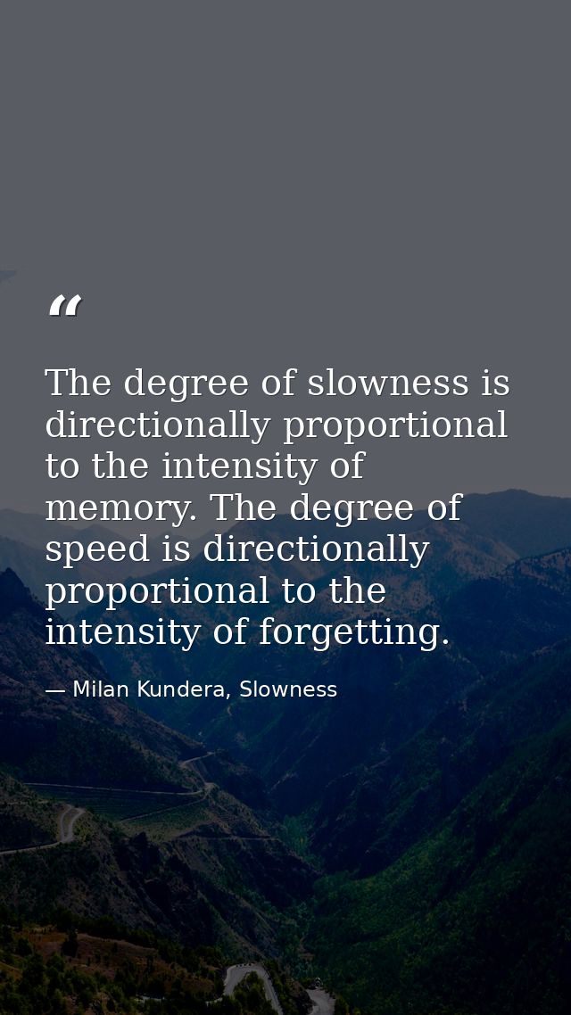 The degree of slowness is directionally proportional to the intensity of memory. The degree of speed is directionally pr — Milan Kundera, Slowness