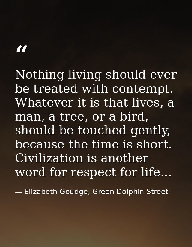 Nothing living should ever be treated with contempt. Whatever it is that lives, a man, a tree, or a bird, should be touc — Elizabeth Goudge, Green Dolphin Street