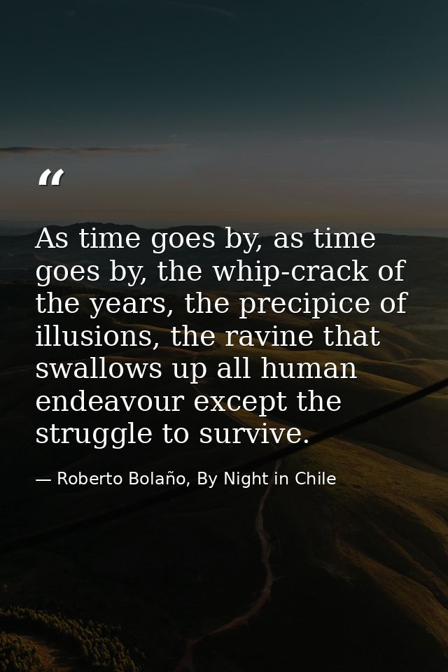 As time goes by, as time goes by, the whip-crack of the years, the precipice of illusions, the ravine that swallows up a — Roberto Bolaño, By Night in Chile