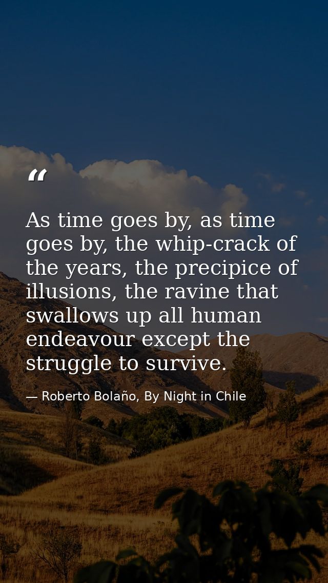 As time goes by, as time goes by, the whip-crack of the years, the precipice of illusions, the ravine that swallows up a — Roberto Bolaño, By Night in Chile