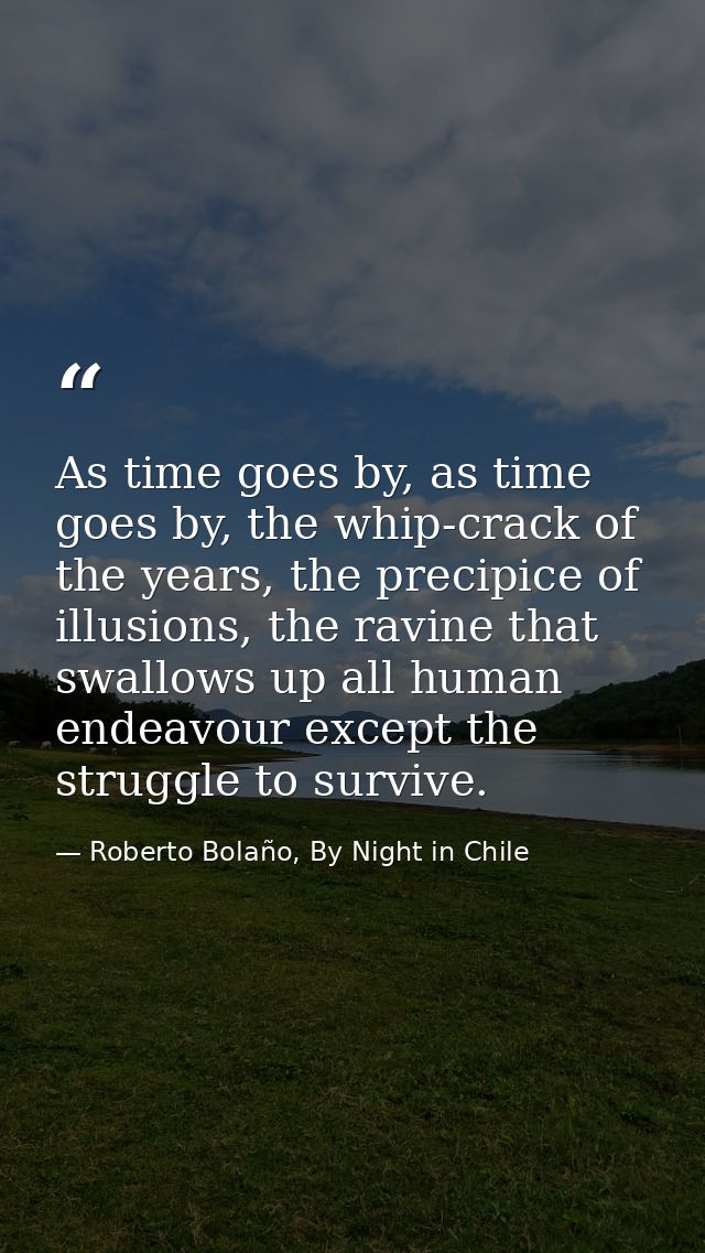 As time goes by, as time goes by, the whip-crack of the years, the precipice of illusions, the ravine that swallows up a — Roberto Bolaño, By Night in Chile