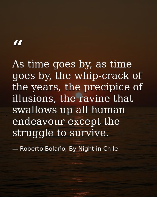 As time goes by, as time goes by, the whip-crack of the years, the precipice of illusions, the ravine that swallows up a — Roberto Bolaño, By Night in Chile