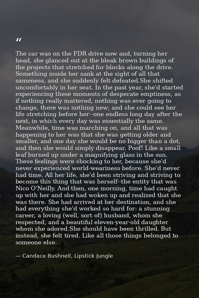 The car was on the FDR drive now and, turning her head, she glanced out at the bleak brown buildings of the projects tha — Candace Bushnell, Lipstick Jungle