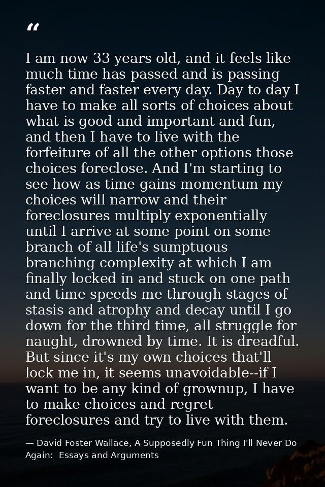 I am now 33 years old, and it feels like much time has passed and is passing faster and faster every day. Day to day I h — David Foster Wallace, A Supposedly Fun Thing I'll Never Do Again:  Essays and Arguments