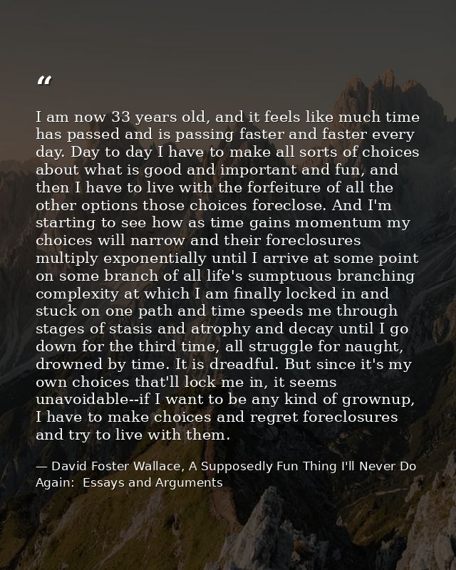 I am now 33 years old, and it feels like much time has passed and is passing faster and faster every day. Day to day I h — David Foster Wallace, A Supposedly Fun Thing I'll Never Do Again:  Essays and Arguments