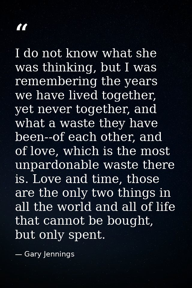 I do not know what she was thinking, but I was remembering the years we have lived together, yet never together, and wha — Gary Jennings