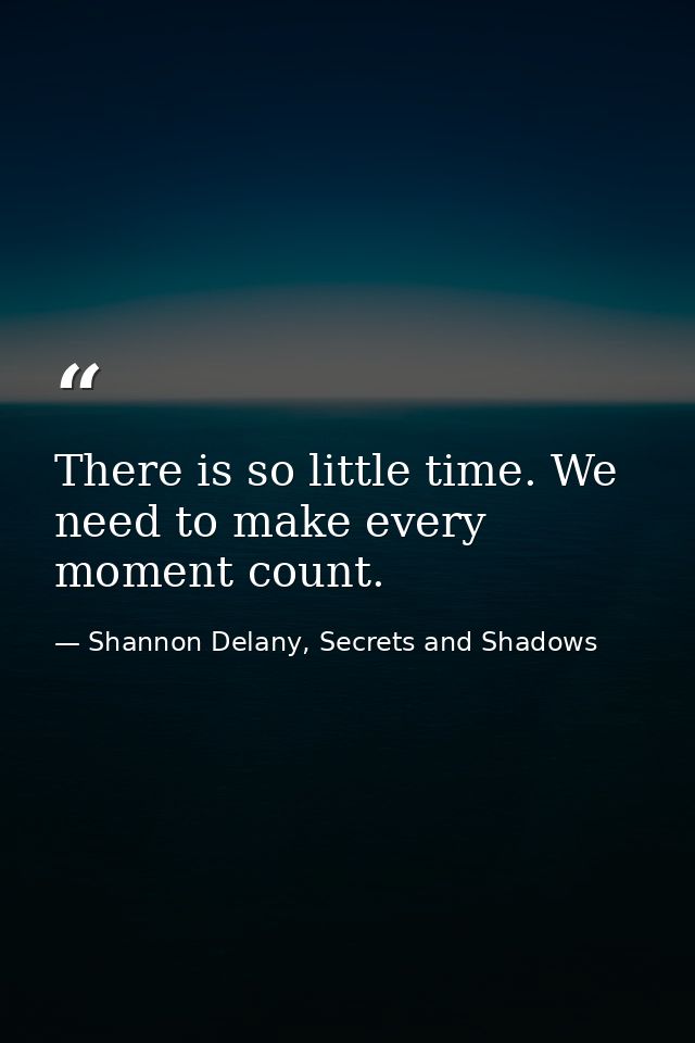 There is so little time. We need to make every moment count. — Shannon Delany, Secrets and Shadows