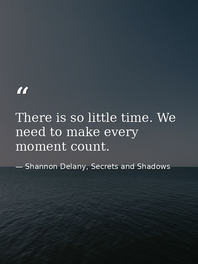 There is so little time. We need to make every moment count. — Shannon Delany, Secrets and Shadows