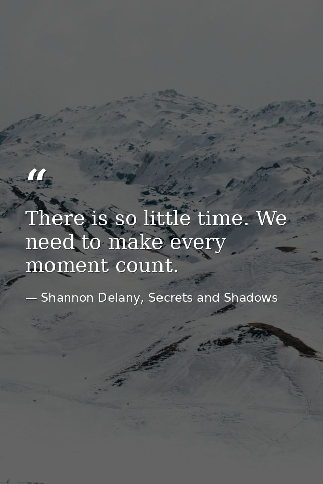 There is so little time. We need to make every moment count. — Shannon Delany, Secrets and Shadows