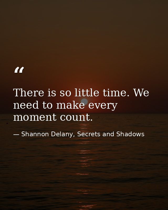 There is so little time. We need to make every moment count. — Shannon Delany, Secrets and Shadows