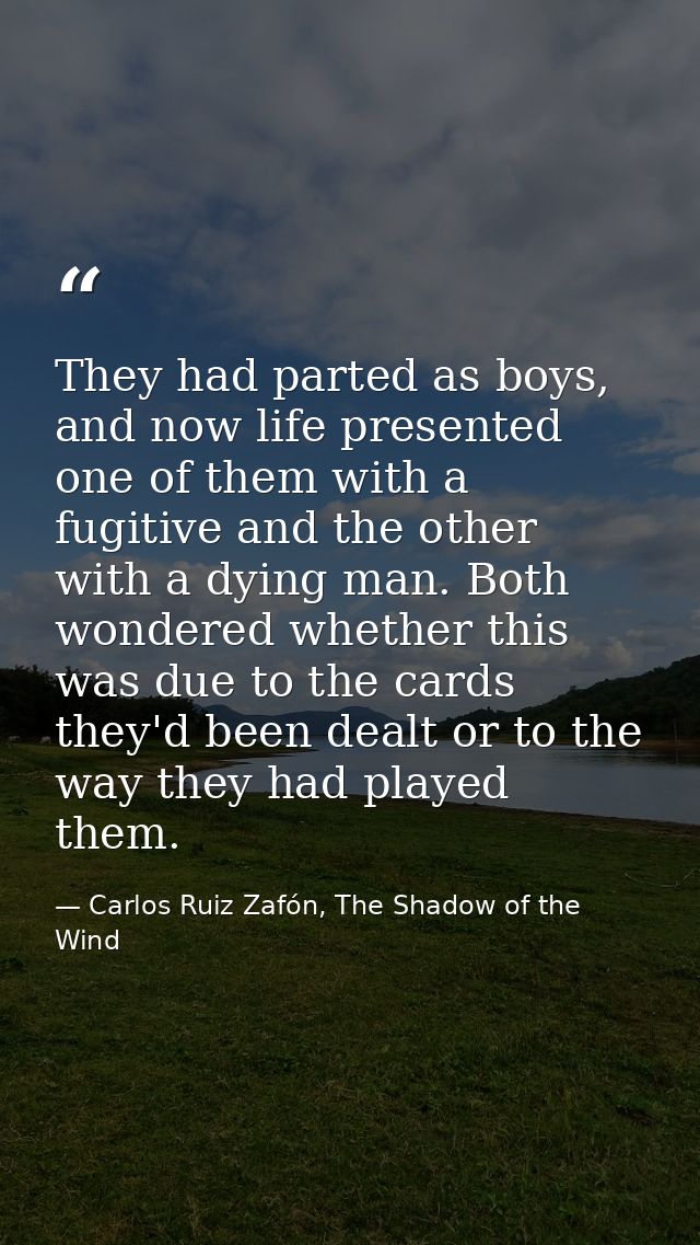 They had parted as boys, and now life presented one of them with a fugitive and the other with a dying man. Both wondere — Carlos Ruiz Zafón, The Shadow of the Wind