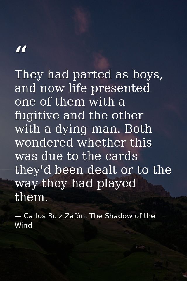 They had parted as boys, and now life presented one of them with a fugitive and the other with a dying man. Both wondere — Carlos Ruiz Zafón, The Shadow of the Wind