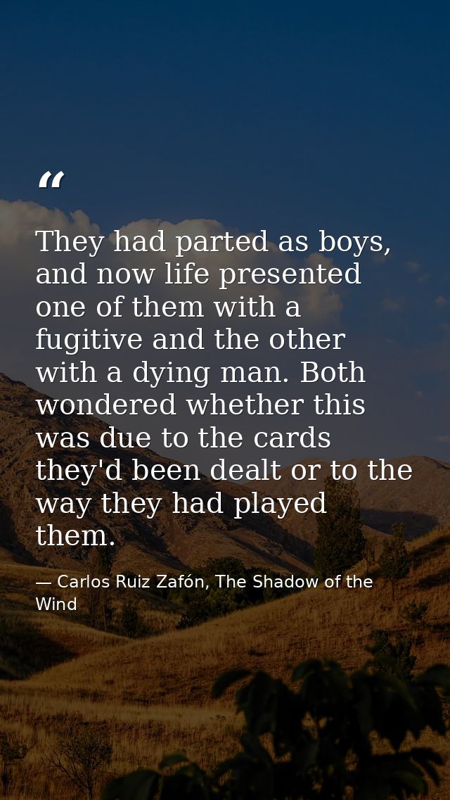 They had parted as boys, and now life presented one of them with a fugitive and the other with a dying man. Both wondere — Carlos Ruiz Zafón, The Shadow of the Wind
