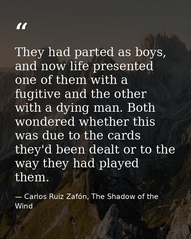 They had parted as boys, and now life presented one of them with a fugitive and the other with a dying man. Both wondere — Carlos Ruiz Zafón, The Shadow of the Wind