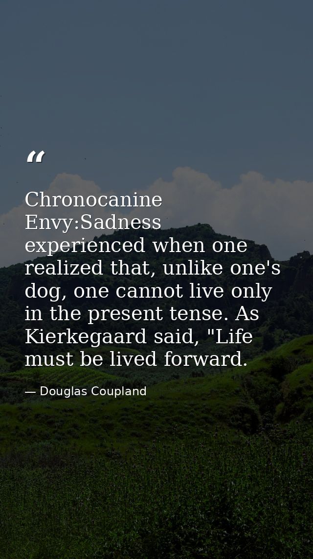 Chronocanine Envy:Sadness experienced when one realized that, unlike one's dog, one cannot live only in the present tens — Douglas Coupland
