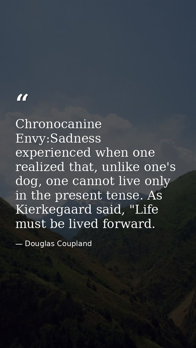 Chronocanine Envy:Sadness experienced when one realized that, unlike one's dog, one cannot live only in the present tens — Douglas Coupland
