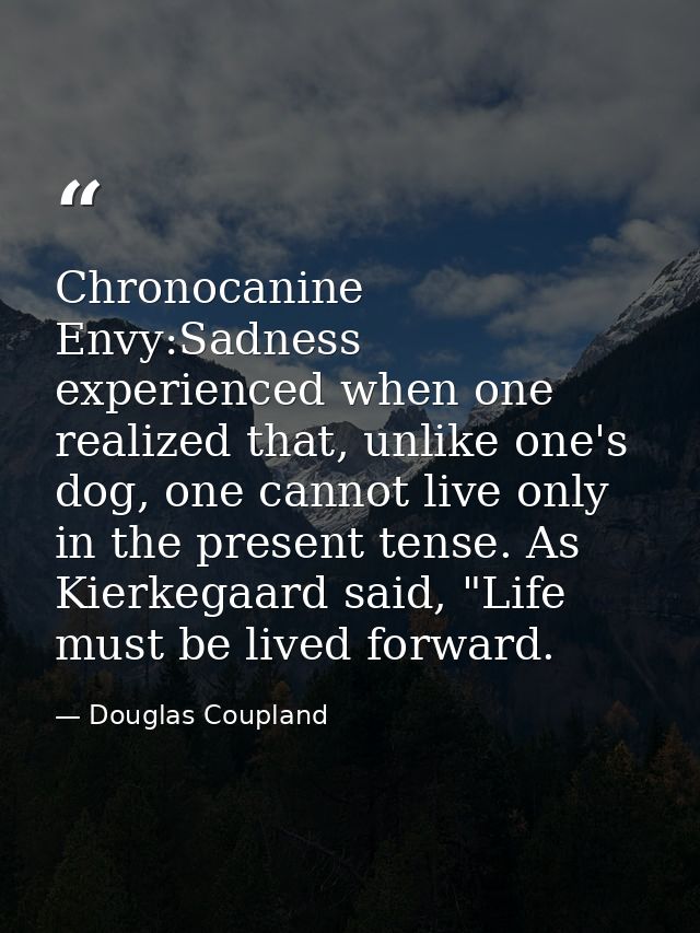Chronocanine Envy:Sadness experienced when one realized that, unlike one's dog, one cannot live only in the present tens — Douglas Coupland