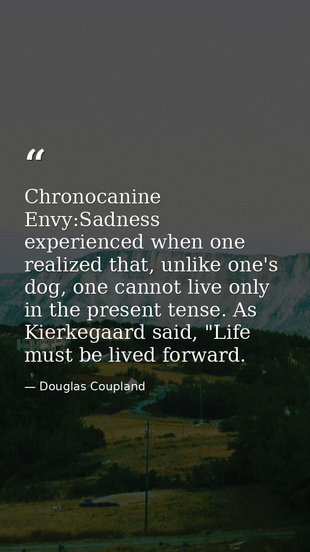 Chronocanine Envy:Sadness experienced when one realized that, unlike one's dog, one cannot live only in the present tens — Douglas Coupland