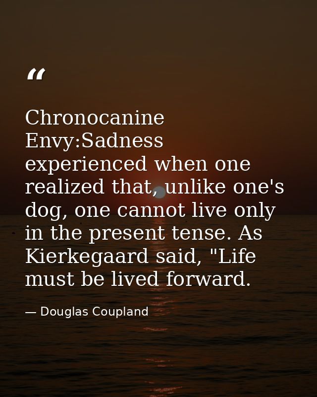 Chronocanine Envy:Sadness experienced when one realized that, unlike one's dog, one cannot live only in the present tens — Douglas Coupland