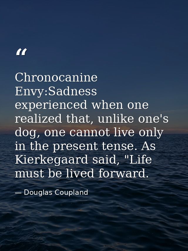 Chronocanine Envy:Sadness experienced when one realized that, unlike one's dog, one cannot live only in the present tens — Douglas Coupland