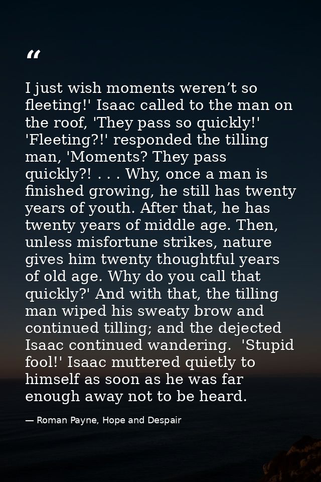 I just wish moments weren’t so fleeting!' Isaac called to the man on the roof, 'They pass so quickly!' 'Fleeting?!' resp — Roman Payne, Hope and Despair