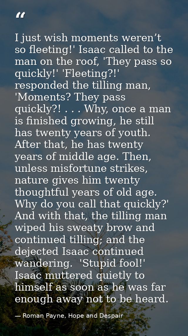 I just wish moments weren’t so fleeting!' Isaac called to the man on the roof, 'They pass so quickly!' 'Fleeting?!' resp — Roman Payne, Hope and Despair