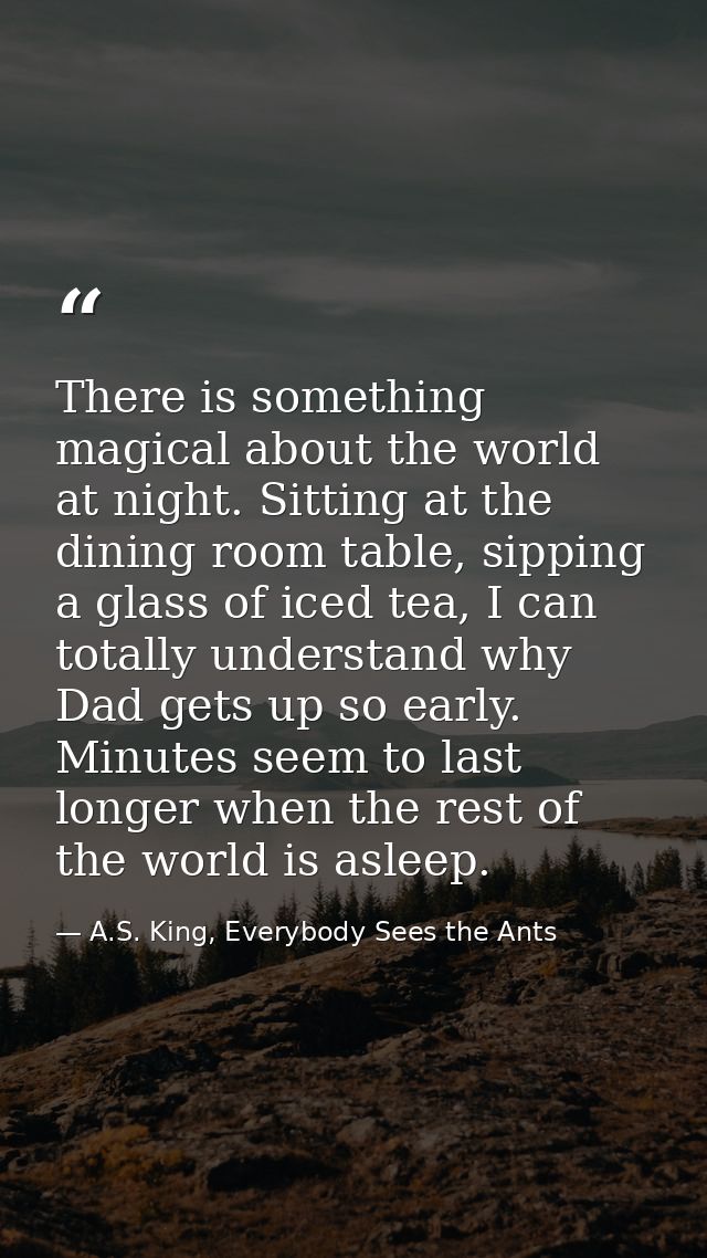 There is something magical about the world at night. Sitting at the dining room table, sipping a glass of iced tea, I ca — A.S. King, Everybody Sees the Ants